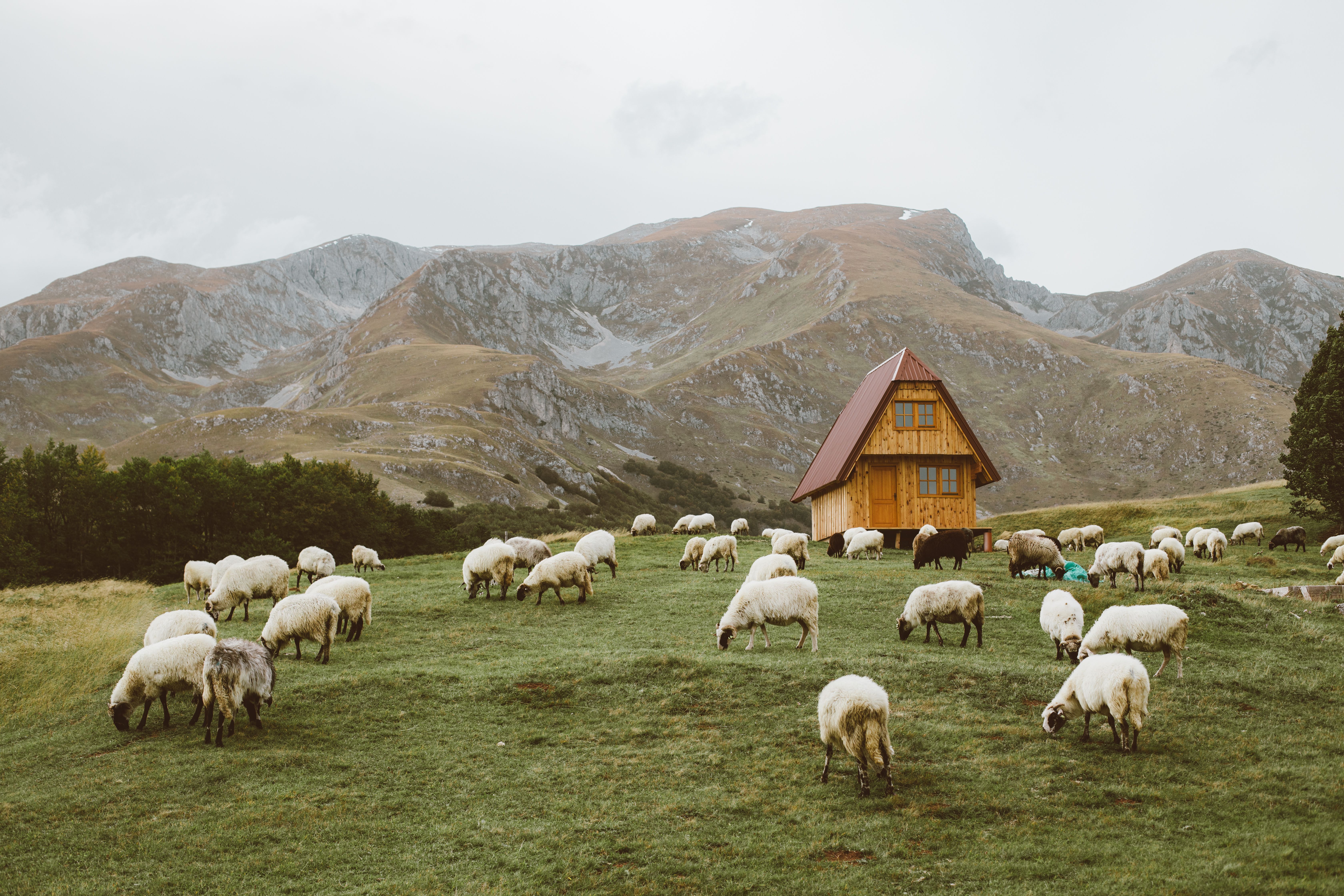 Albania